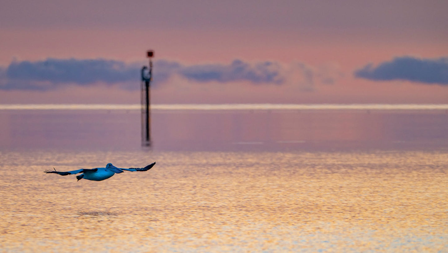 DSPS - Kangaroo Island Workshop - June 15th to 19th - 2027 - 7 Places Available