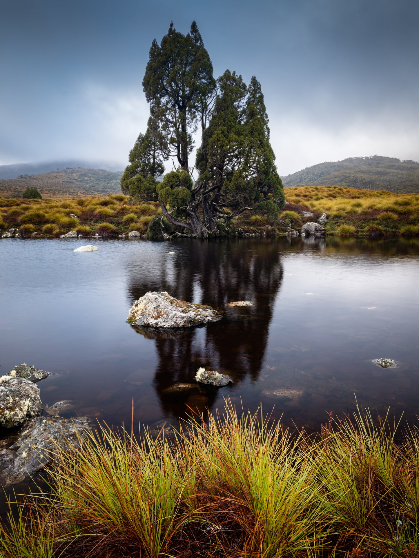 Tarkine to Cradle Autumn Mt Workshop - April 12th to 18th - 2024 - SOLD OUT!!