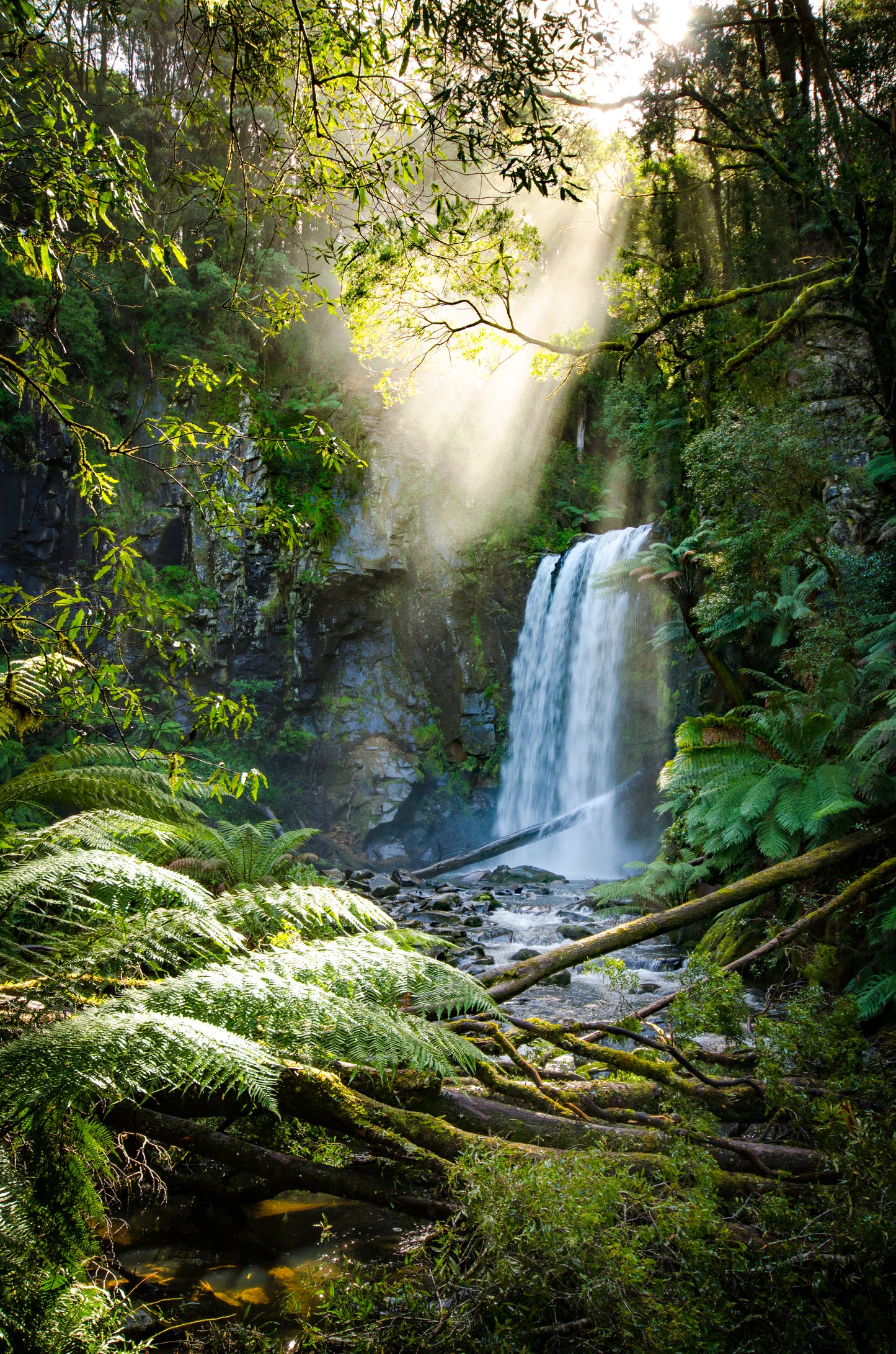 Great Ocean Road Photography Workshop - May 26th to 30th - 2024 - SOLD OUT!!