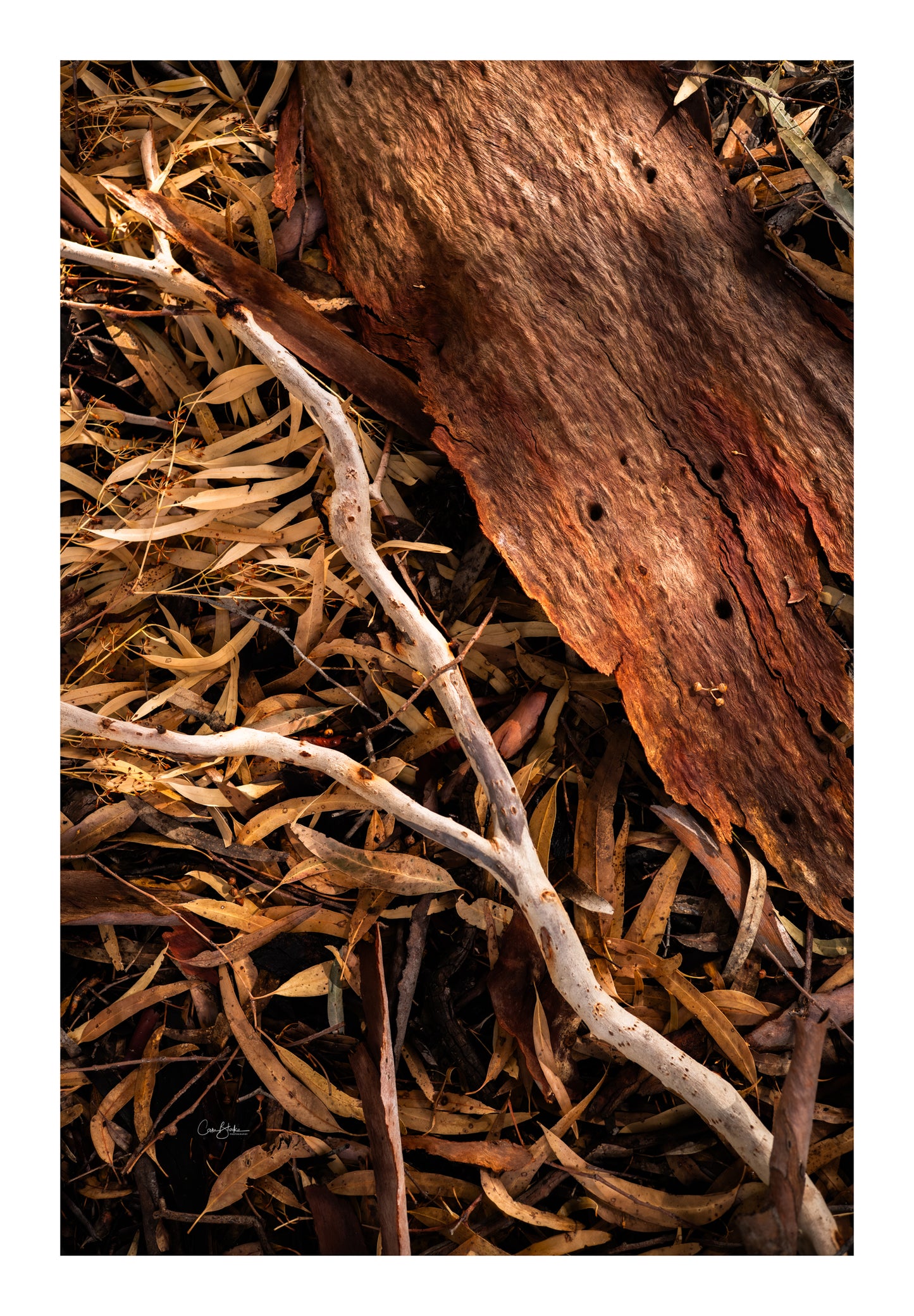 DPSP - Murray / Mallee Workshops - March 27th to 31st - 2026