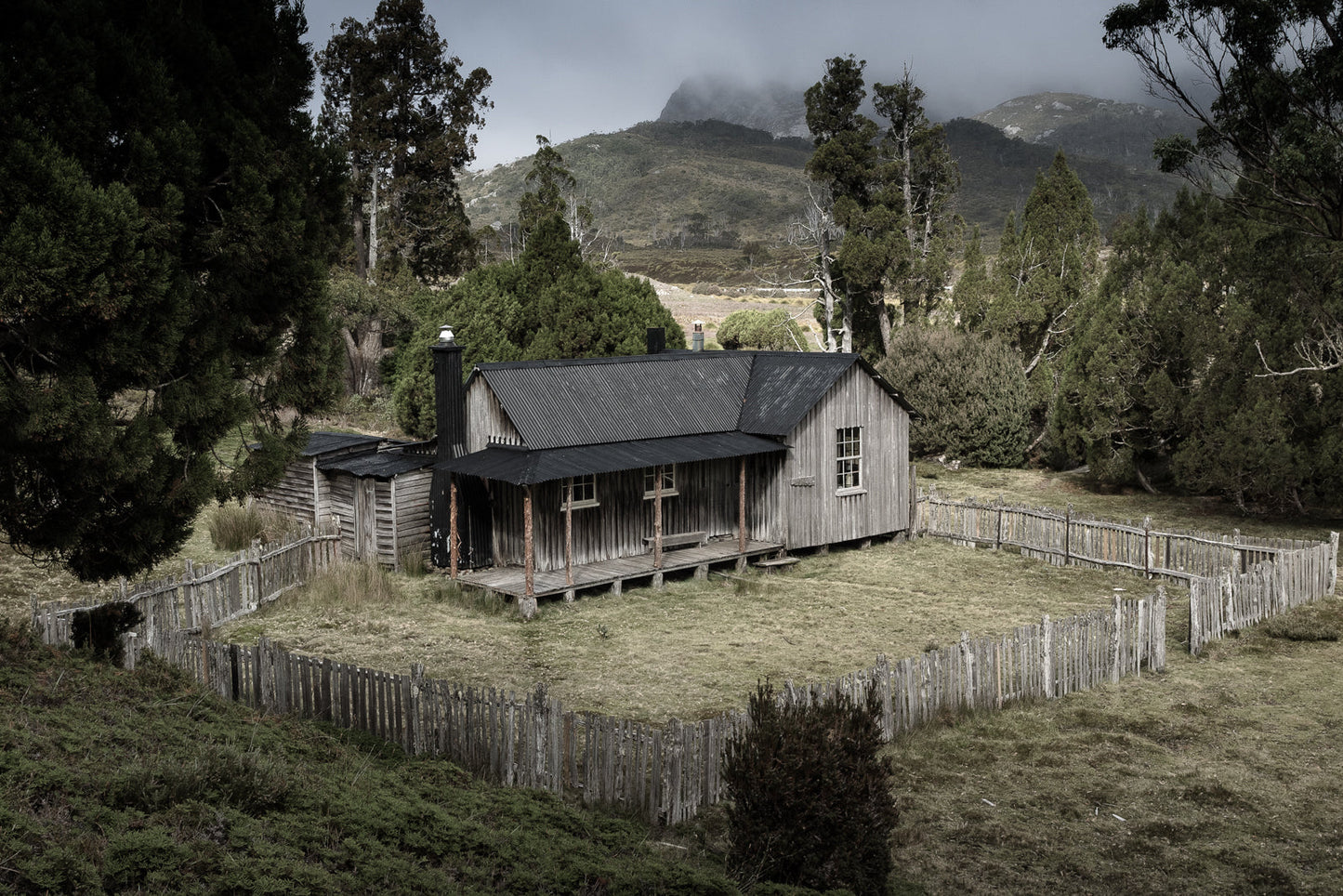 DSPS - Tarkine to Cradle Mt Workshop - August 15th to 20th - 2025 - SOLD OUT!!!