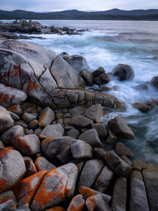 DSPS - Bay of Fire to Freycinet - Photo Tour - March 27th to 31st - 2026 - 3 Places Available