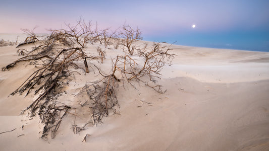 DSPS - Bay of Fire to Freycinet - Photo Tour - May 25th to 29th - 2027 - 6 Places Only