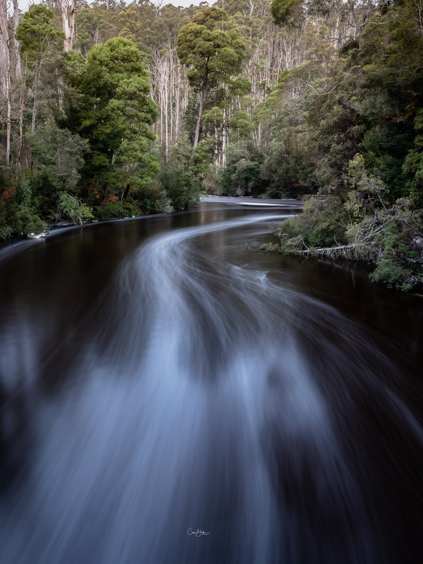 Tarkine to Cradle Autumn Mt Workshop - April 12th to 18th - 2024 - SOLD OUT!!