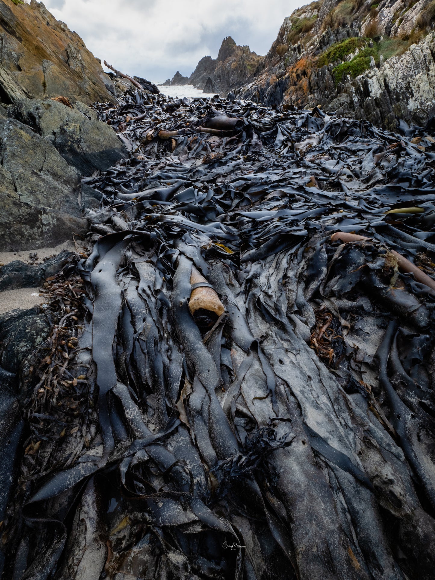 Tarkine to Cradle Autumn Mt Workshop - April 12th to 18th - 2024 - SOLD OUT!!