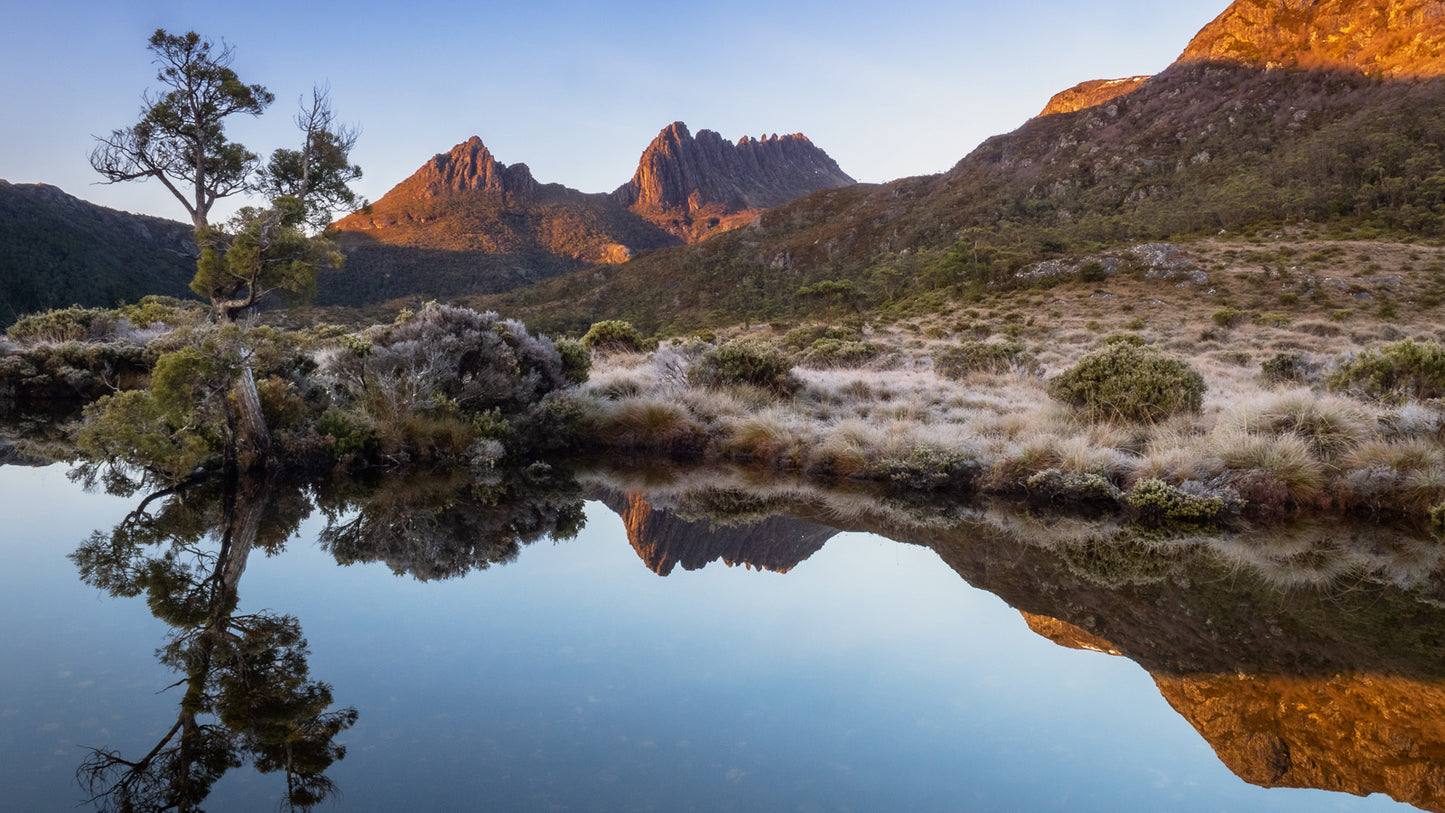 DSPS - Tarkine to Cradle Mt Workshop - August 15th to 20th - 2025 - SOLD OUT!!!