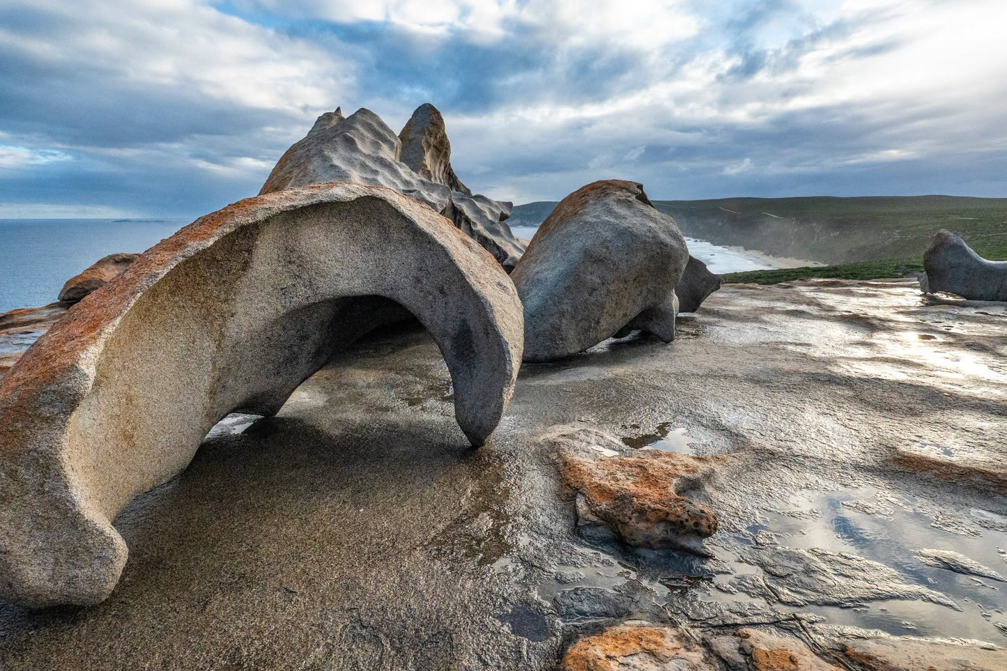 DSPS - Kangaroo Island Workshop - June 15th to 19th - 2027 - 7 Places Available