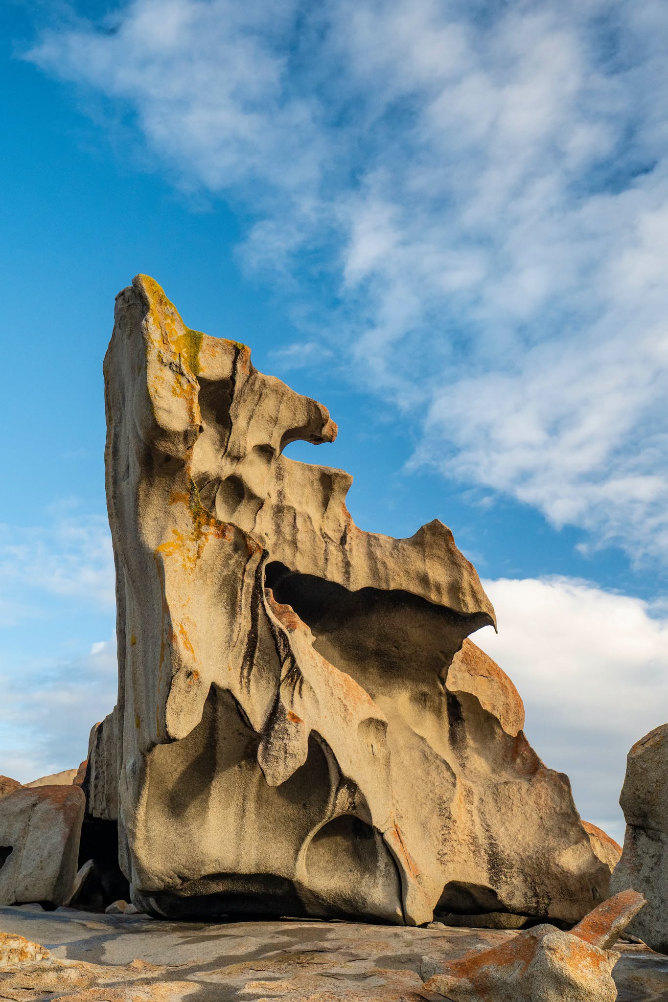 DSPS - Kangaroo Island Workshop - June 15th to 19th - 2027 - 7 Places Available