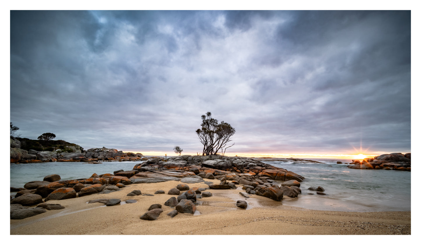 DSPS - Bay of Fire to Freycinet - Photo Tour - April 27th to May 1st - 2027 - 6 Places Only