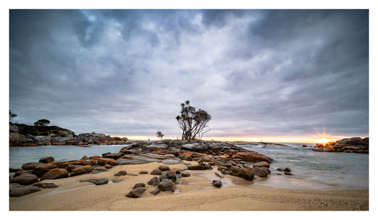 DSPS - Bay of Fire to Freycinet - Photo Tour - April 27th to May 1st - 2027 - 6 Places Only