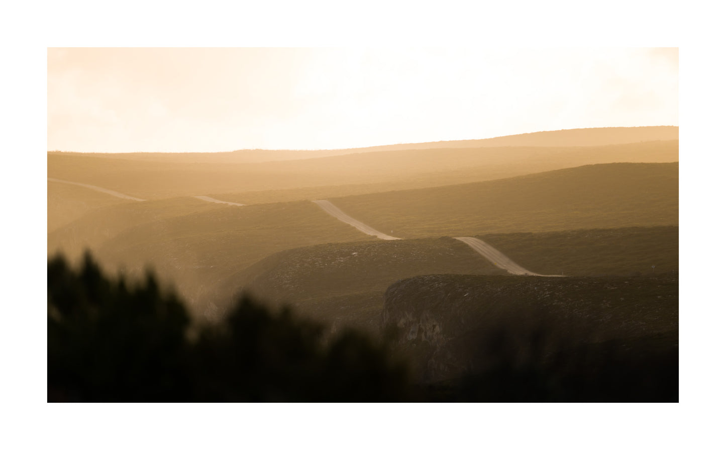 DSPS - Kangaroo Island Workshop - June 23rd to 27th - 2026 - SOLD OUT!!