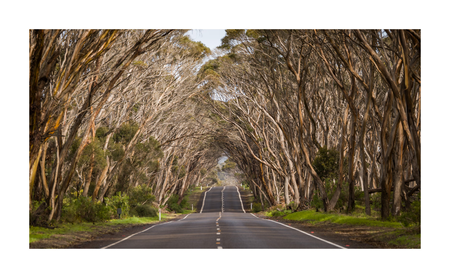 DSPS - Kangaroo Island Workshop - June 23rd to 27th - 2026 - SOLD OUT!!