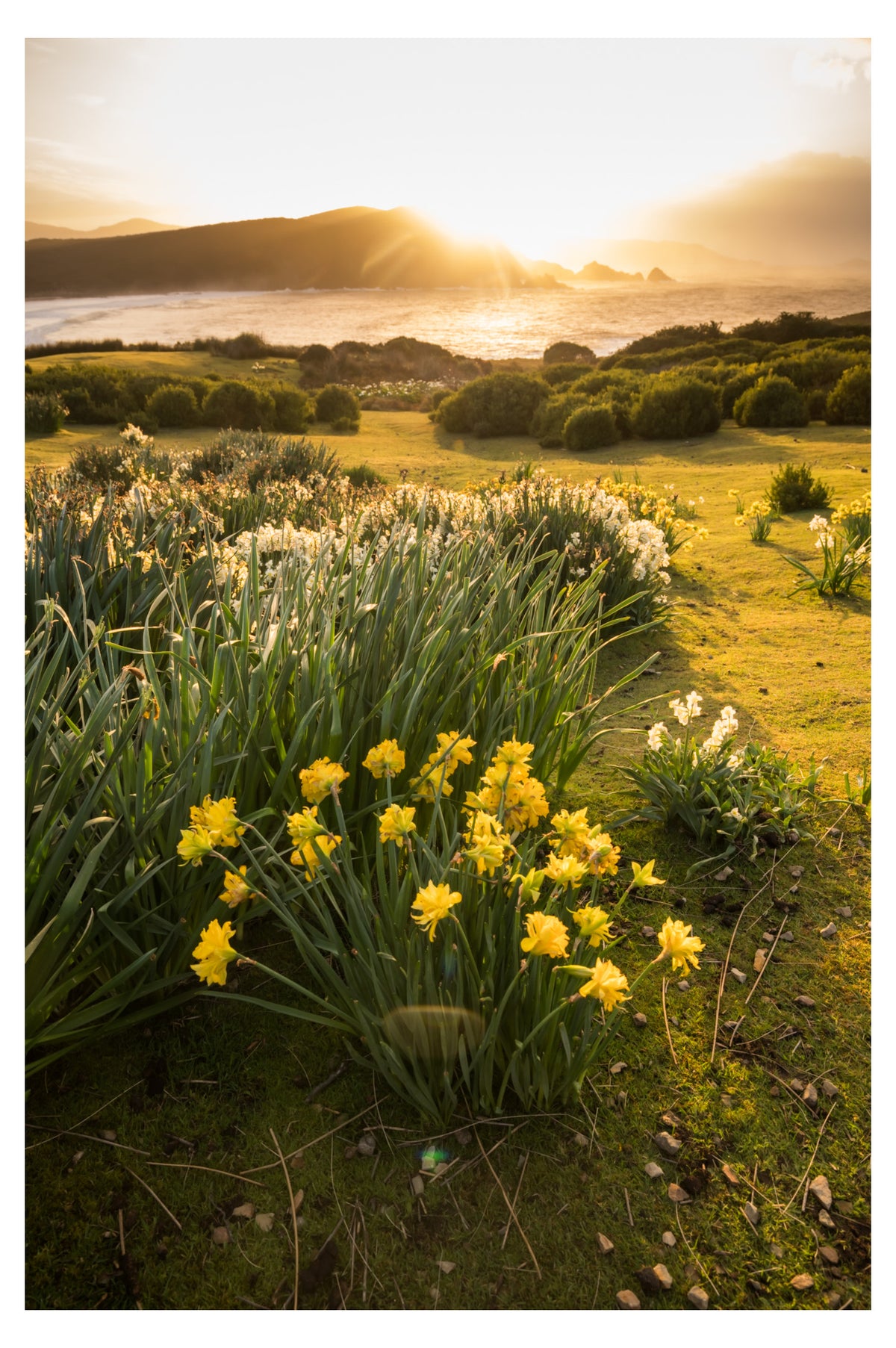 DSPS Bruny Island Photography Workshop 4 Days - March 2nd to 5th - 2027 - 7 Places Available