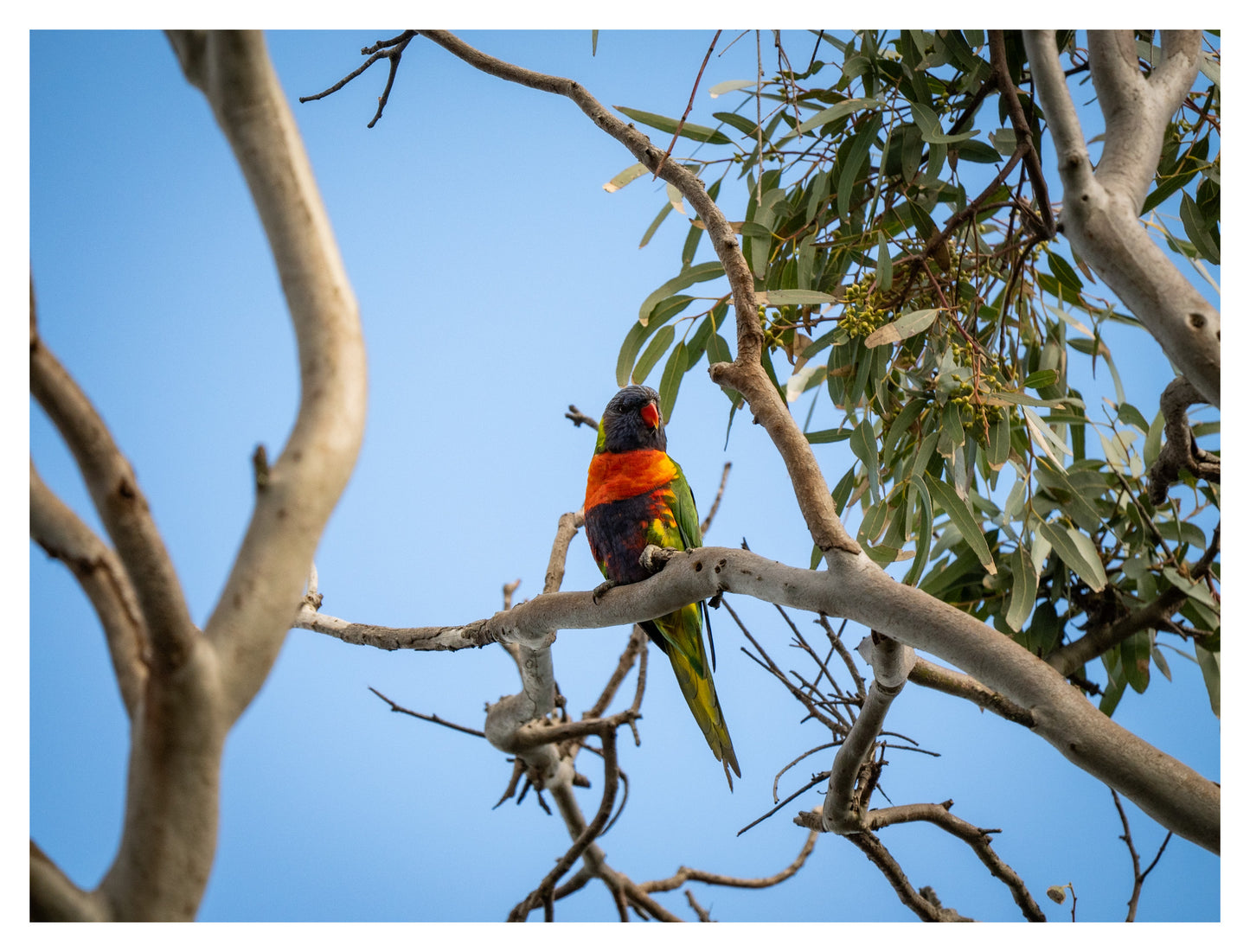 DSPS - Kangaroo Island Workshop - June 23rd to 27th - 2026 - SOLD OUT!!