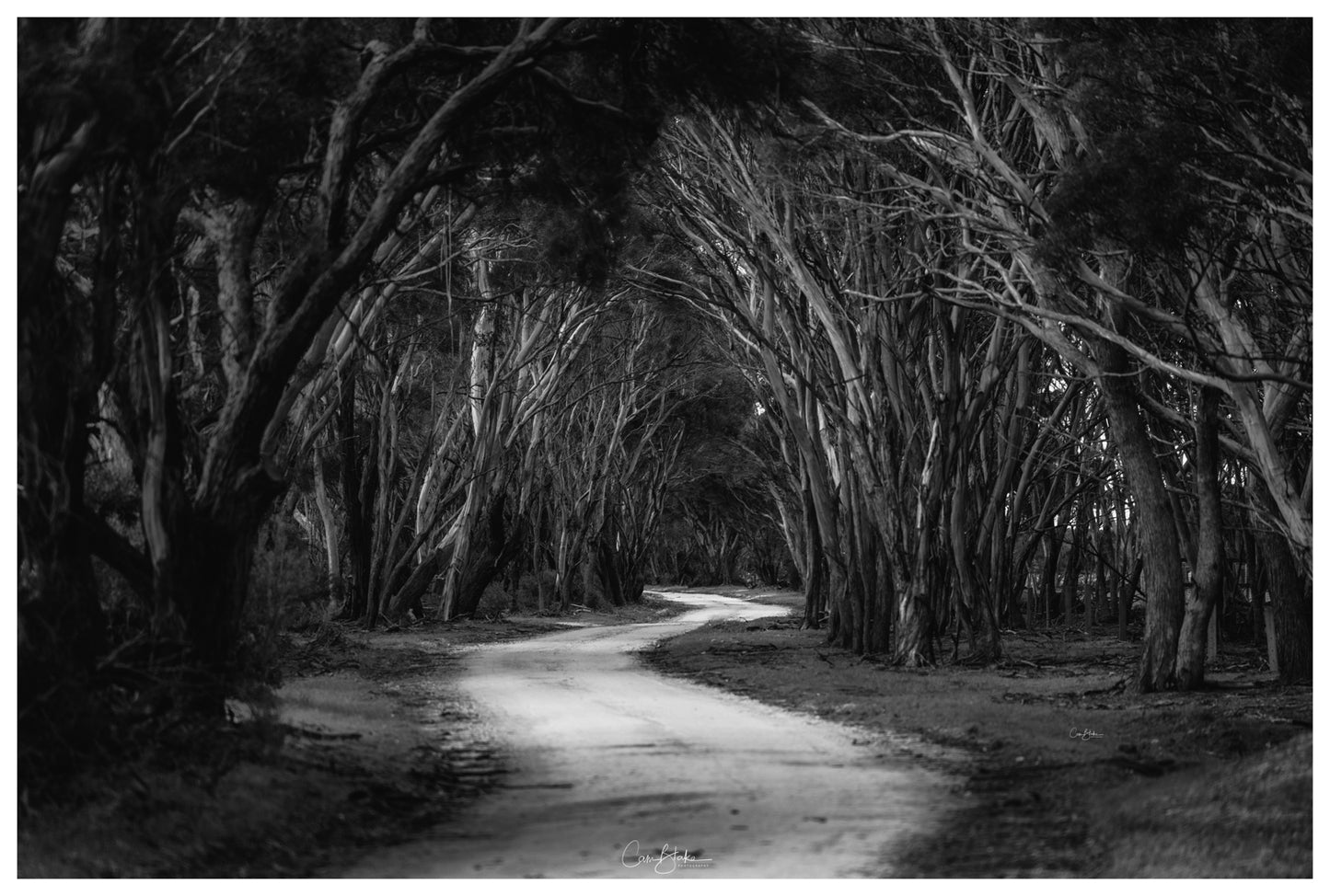 DSPS - Kangaroo Island Workshop - June 23rd to 27th - 2026 - SOLD OUT!!