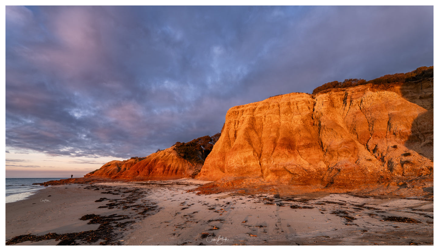 DSPS - Kangaroo Island Workshop - June 23rd to 27th - 2026 - SOLD OUT!!