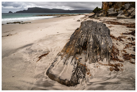 DSPS Bruny Island Photography Workshop 4 Days - March 2nd to 5th - 2027 - 7 Places Available