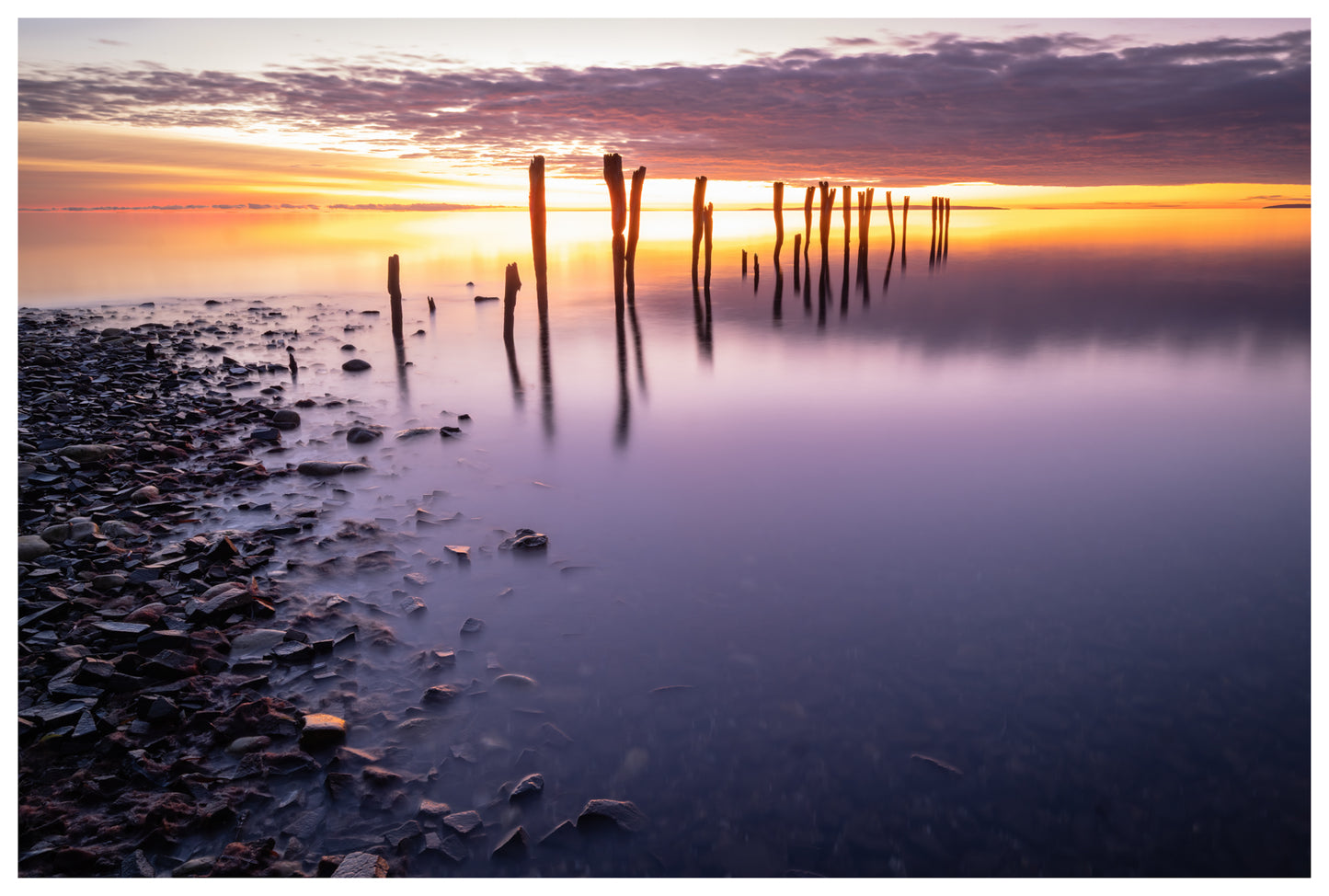 DSPS - Kangaroo Island Workshop - June 15th to 19th - 2027 - 7 Places Available