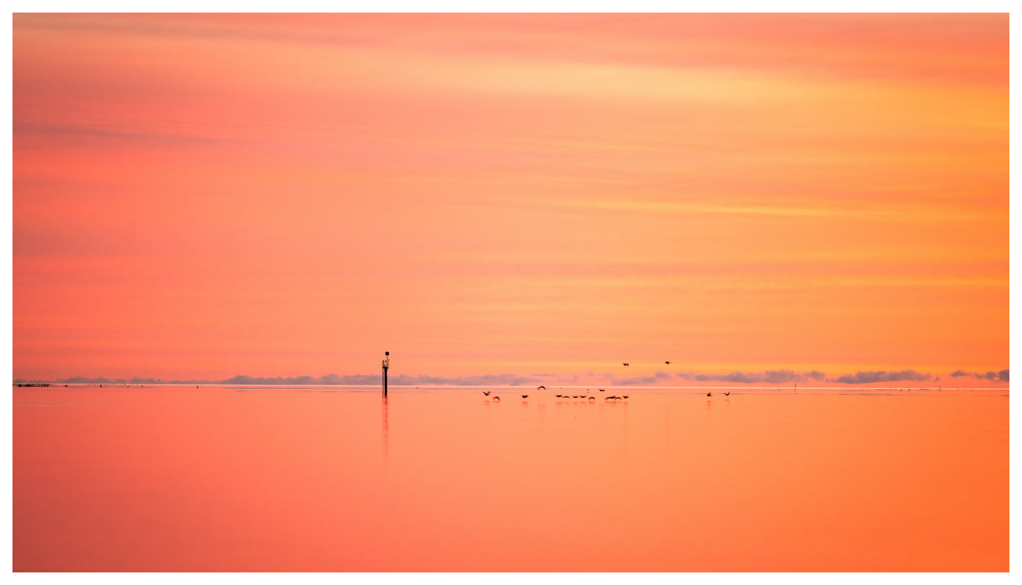DSPS - Kangaroo Island Workshop - June 15th to 19th - 2027 - 7 Places Available