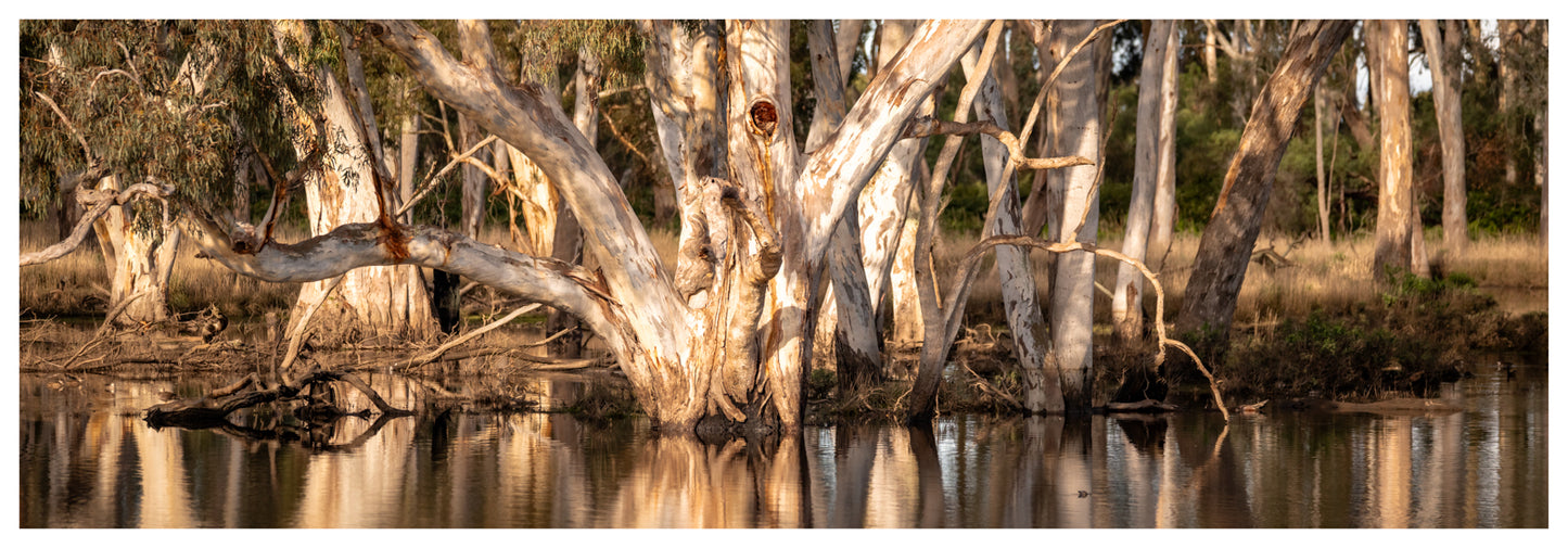 DSPS - Kangaroo Island Workshop - June 15th to 19th - 2027 - 7 Places Available