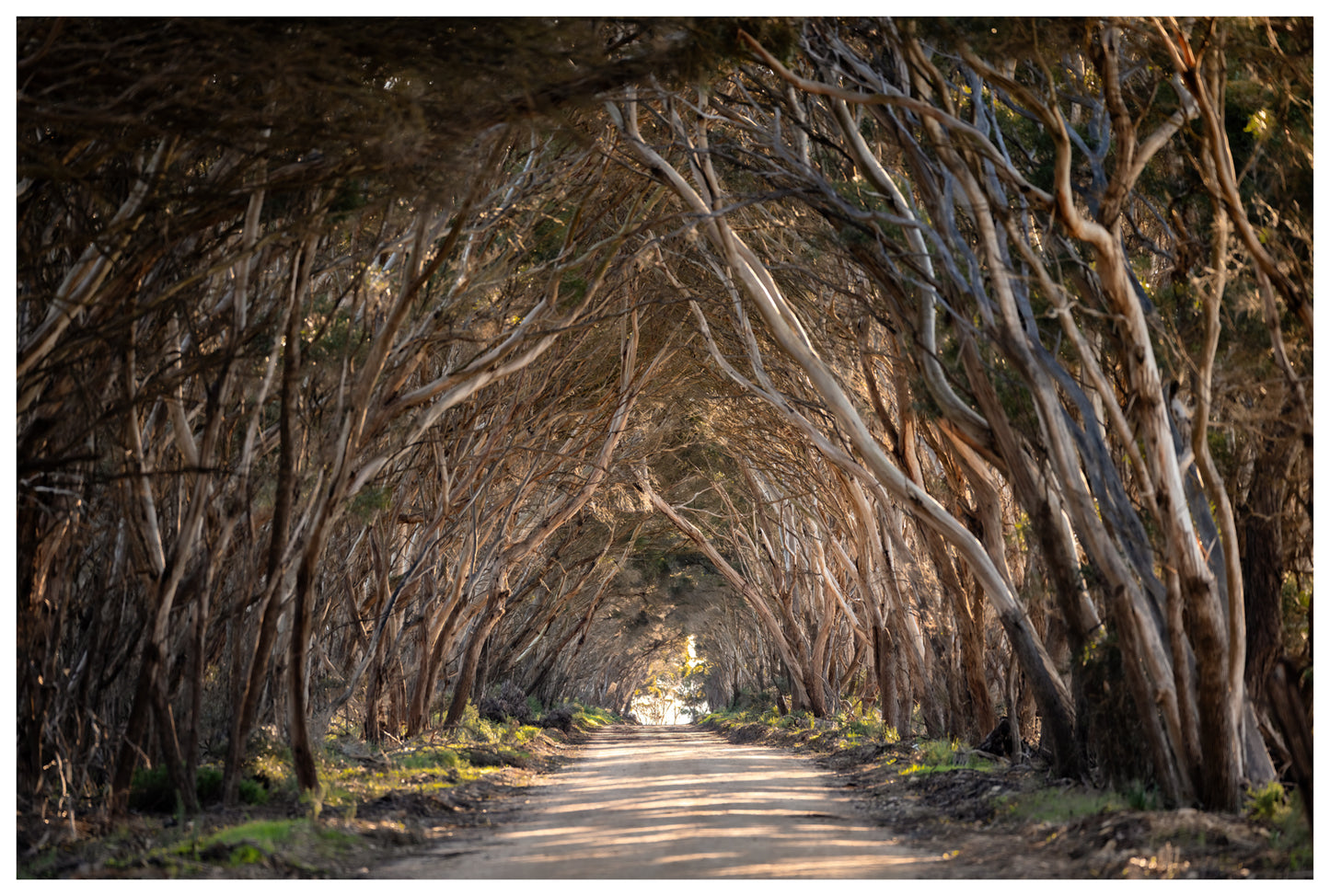 DSPS - Kangaroo Island Workshop - June 15th to 19th - 2027 - 7 Places Available