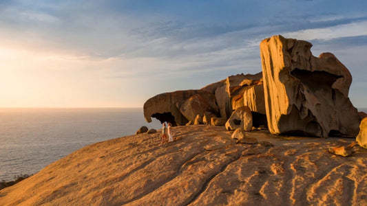 DSPS - Kangaroo Island Workshop - June 22nd to 26th - 2026 - 6 Places Available